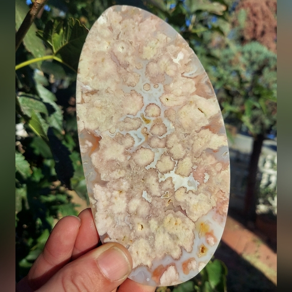 Big Pink Amethyst Blue Flower Agate Slab - Picture 10 of 14